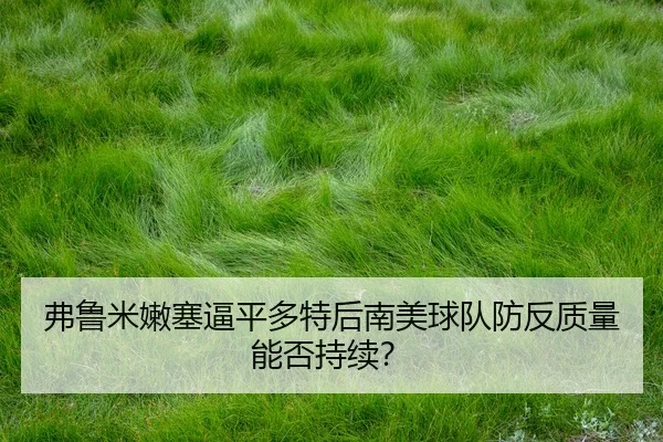 弗鲁米嫩塞逼平多特后南美球队防反质量能否持续？