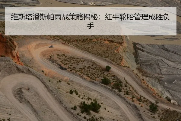 维斯塔潘斯帕雨战策略揭秘：红牛轮胎管理成胜负手